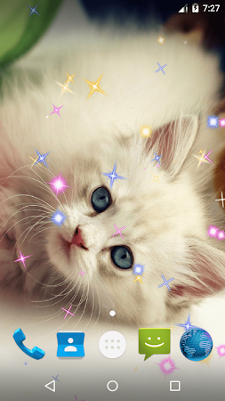 Cute Cat Live Wallpaper मुफ्त डाउनलोड। .