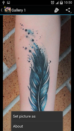 36 Peacock Feather Tattoos Designs And Pictures