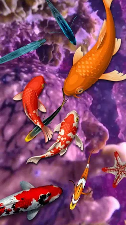 Koi Fish Wallpaper 3d Image Num 39