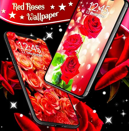 Red Rose Live Wallpaper Flowers 4K Wallpapers मुफ्त डाउनलोड।  .wallpaper