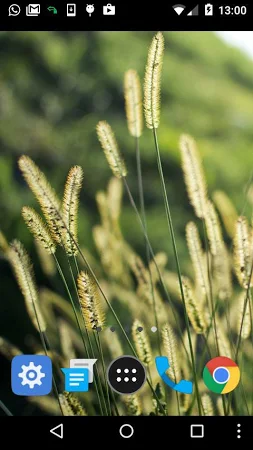 live wallpaper grass APK for Android - free download on Droid Informer