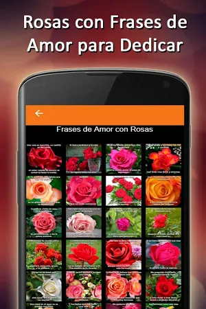 Rosas de Amor Con Frases bonitas Fondo de Pantalla मुफ्त डाउनलोड। -  