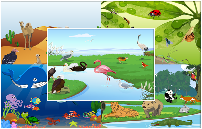 Animal Sound - Animal World - Game For Kids APK for Android - free